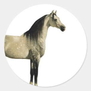 Antique Horses - Arabian Classic Round Sticker