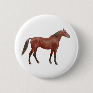 Antique Horses - Thoroughbred 6 Cm Round Badge
