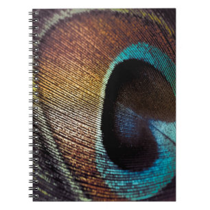 Antique Hues Peacock Feather Eye Notebook