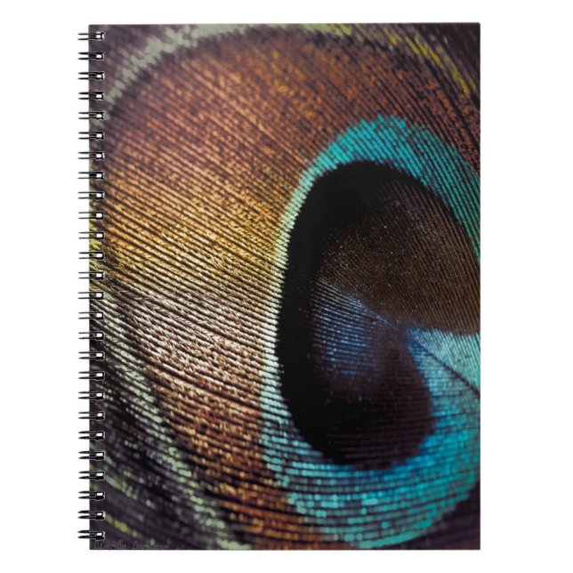 Antique Hues Peacock Feather Eye Notebook (Front)