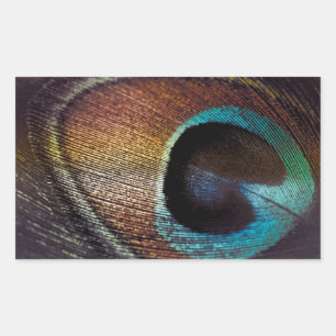 Antique Hues Peacock Feather Eye Rectangular Sticker