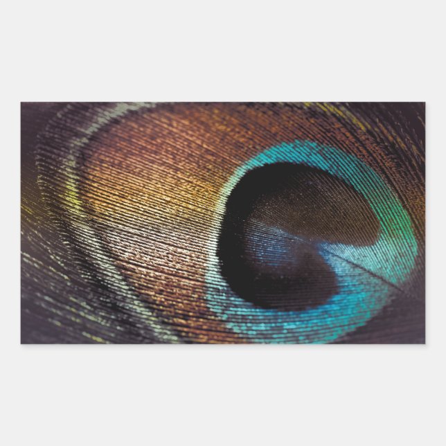 Antique Hues Peacock Feather Eye Rectangular Sticker (Front)