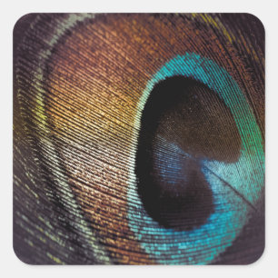 Antique Hues Peacock Feather Eye Square Sticker