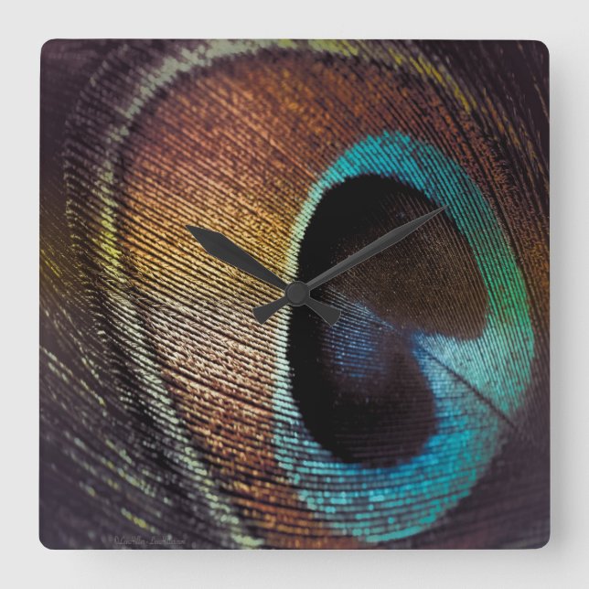 Antique Hues Peacock Feather Eye Square Wall Clock (Front)