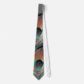 Antique Hues Peacock Feather Tie