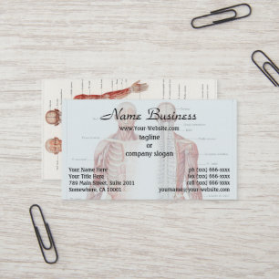 Antique Illustration of the Human Nervous System Business Card