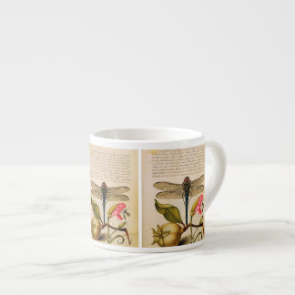 Antique Insects, Flowers, fruits Hoefnagel Espresso Cup