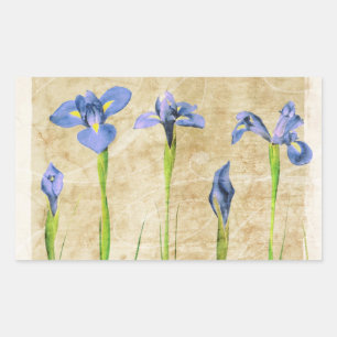 Antique Irises - Vintage Iris Background Customise Rectangular Sticker