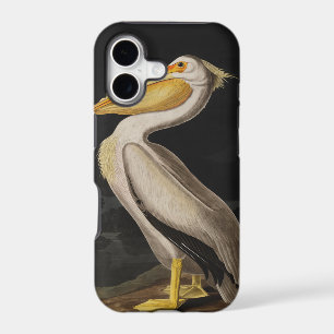 Antique John James Audubon White Pelican Coastal
