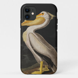 Antique John James Audubon White Pelican Coastal iPhone 11 Case