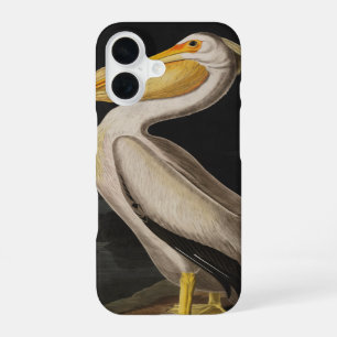Antique John James Audubon White Pelican Coastal iPhone 16 Case