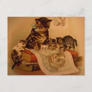 Antique Kittens & Books Kitty School Postcard