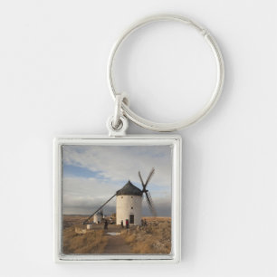 Antique La Mancha windmills, with visitors Key Ring