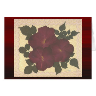 Antique Lace and Roses