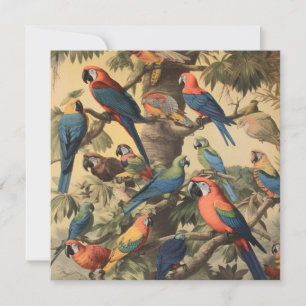 Antique Macaw Jungle Botanical Custom Art Card