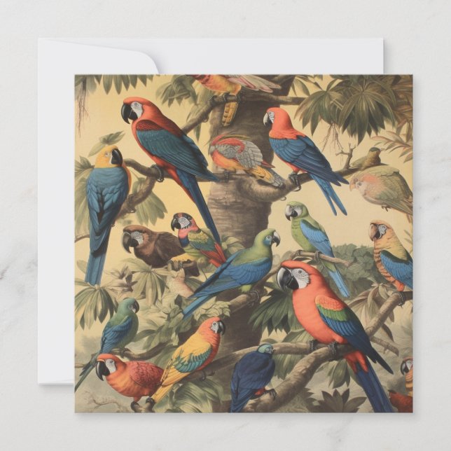 Antique Macaw Jungle Botanical Custom Art Card (Front)