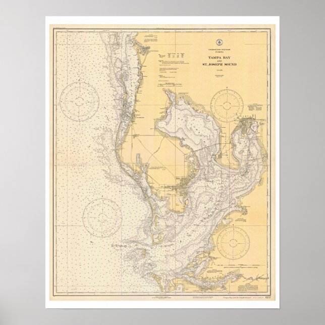 Antique Map of Tampa Bay Florida Poster (Front)