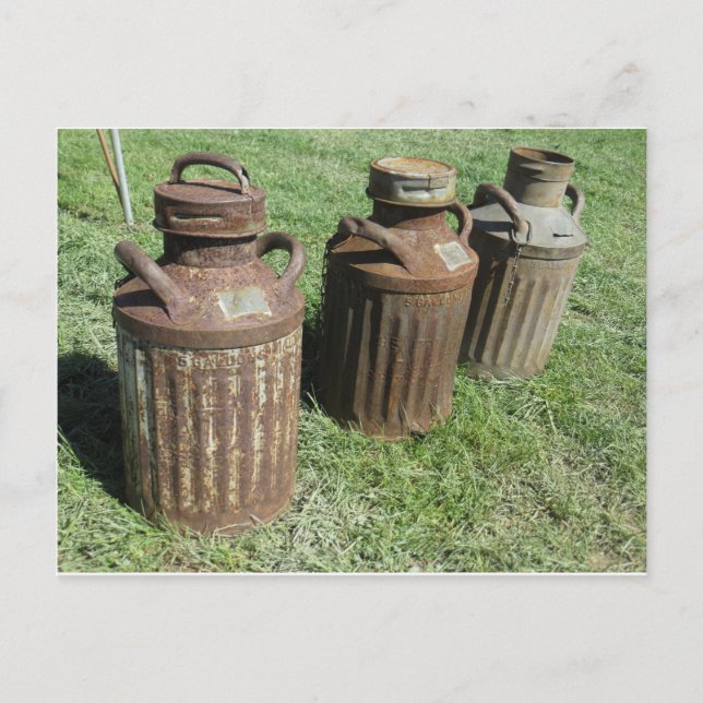 Antique Milk Jugs Postcard (Front)