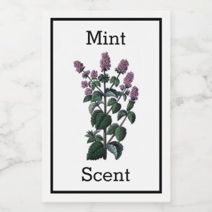 Antique Mint Label