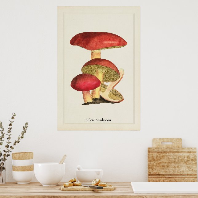 Antique Mushroom Art Print  (Kitchen)