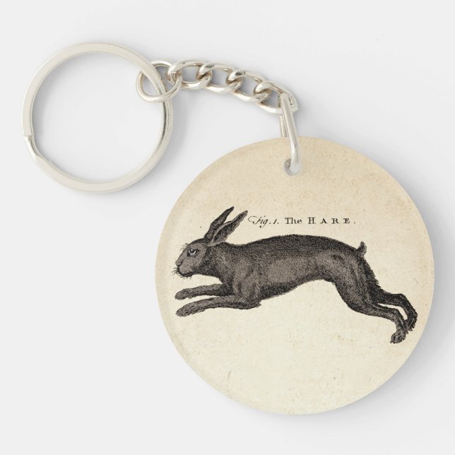 Antique Natural History Art The Hare Key Ring (Front)