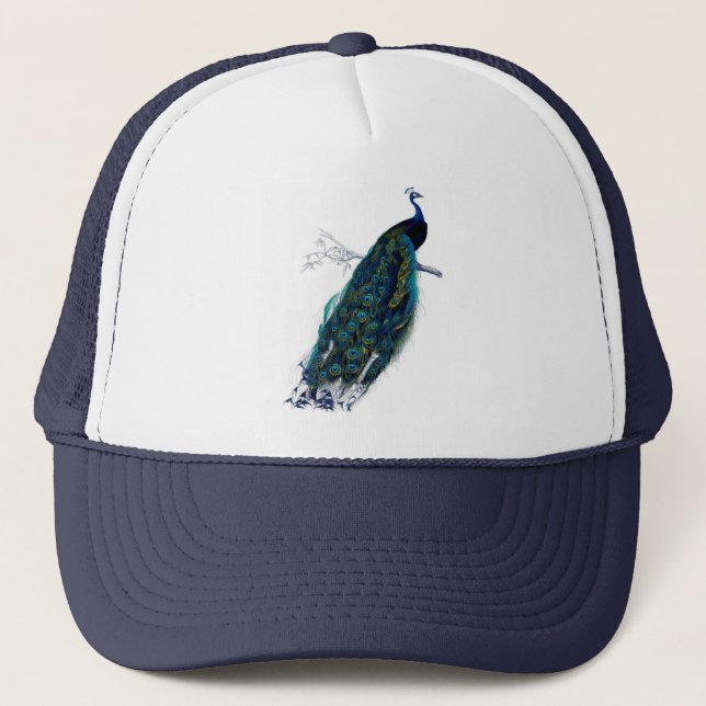 Antique Natural History Print Peacock Trucker Hat (Front)