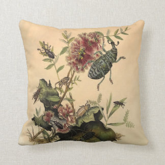 Antique Nature Beetles Bugs Cushion