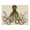 Antique Octopus Poster