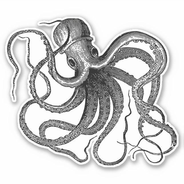 Antique Octopus Swimming (Front)