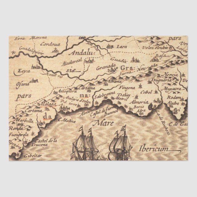 Antique Old Map Inspired (3) Tissue Paper (Front)