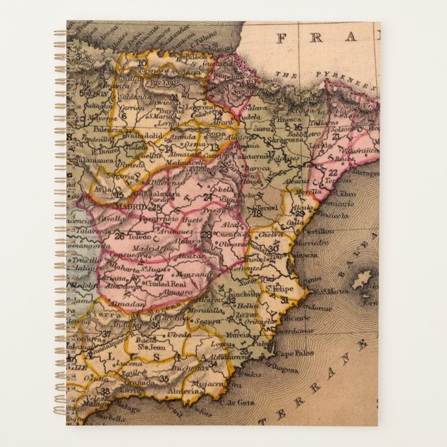 Antique Old Map Inspired (5) Planner (Front)