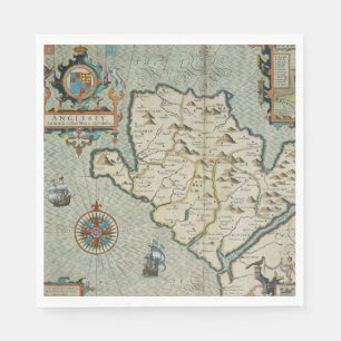 Antique Old Map Inspired (7) Napkin