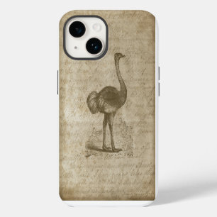 Antique Ostrich Script Grunge Paper iPhone 14 Case