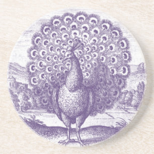 Antique Peacock engraving Coaster
