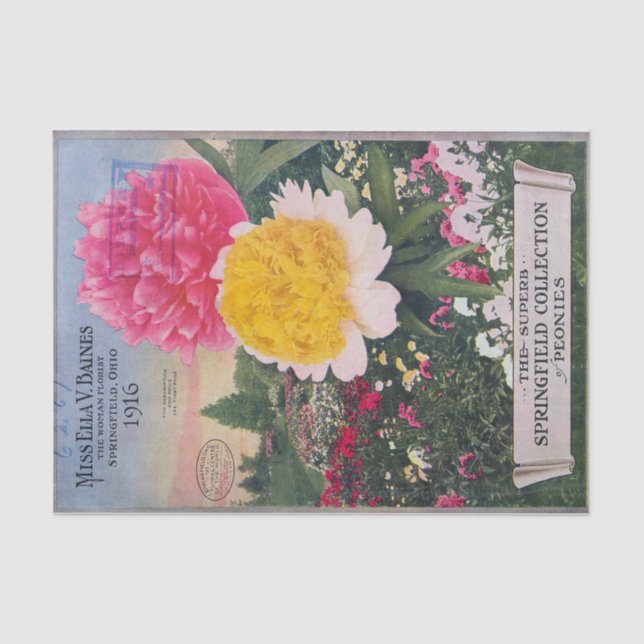 Antique Peonies of Ella Baines Tissue Paper (Front)