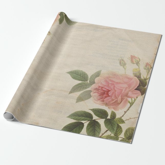 Antique Peony Wrapping Paper Roll (Unrolled)