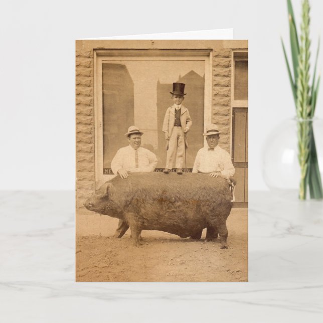 Antique Photo Humourous Birthday Greeting with Pig Card (Front)