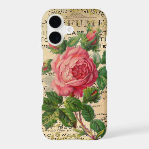 Antique Pink French Roses
