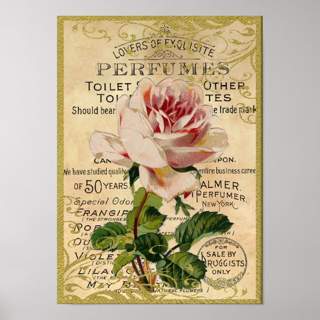 Antique Pink Roses Perfume Poster (Front)