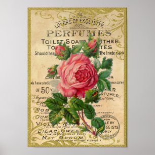 Antique Pink Roses Perfume Poster