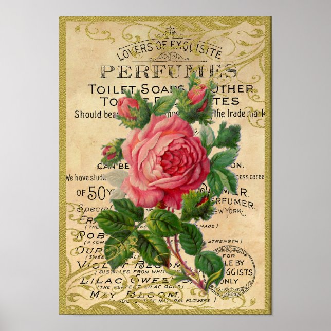 Antique Pink Roses Perfume Poster (Front)