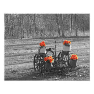 Antique Plough Photo Print