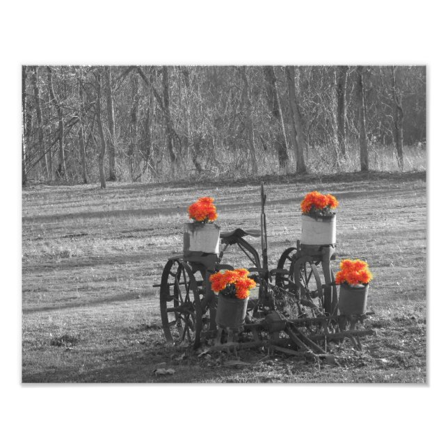 Antique Plough Photo Print (Front)