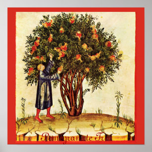 ANTIQUE POMEGRANATE TREE POSTER