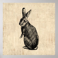 Antique Rabbit Illustration Bunny Art with Script