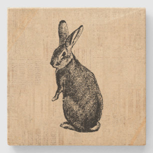 Antique Rabbit Illustration Bunny Art with Script Stone Coaster