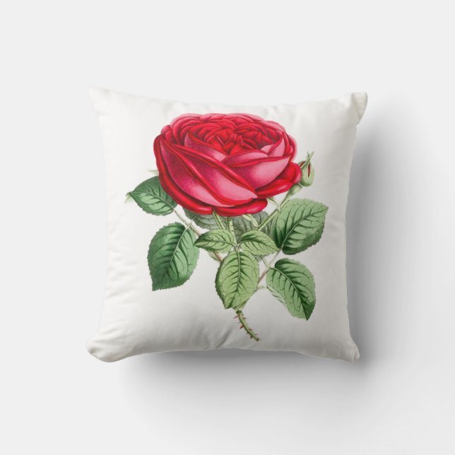 Antique Red Rose Simple Cushion (Front)