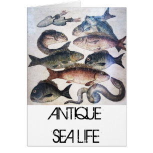 ANTIQUE ROMAN MOSAICS, FISHES,OCEAN SEA LIFE SCENE