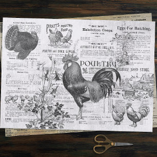 Antique Rooster Horticulture Ads Ephemera Grey Tissue Paper