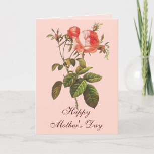 Antique Rose Botanical Mother's Day Card